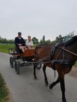 2erkutsche